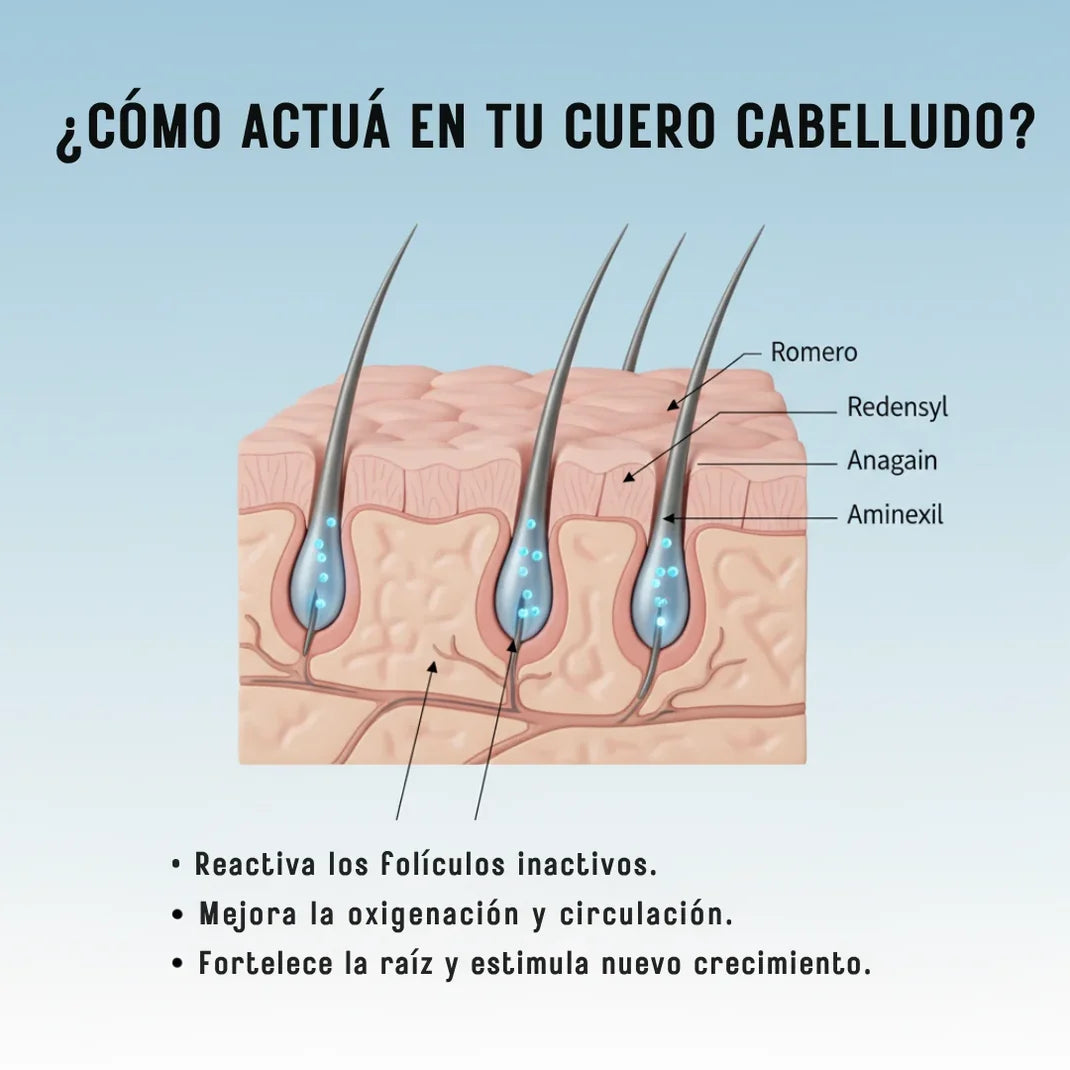 Crecimiento Capilar X3 – Sérum Capilar Roll-On | Pack 3 x 10 ml