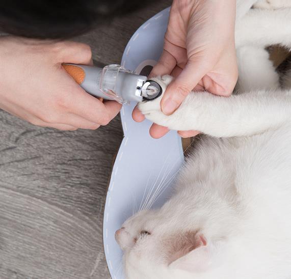 Corta Uñas con Luz Led Para Mascotas