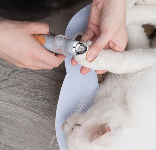 Corta Uñas para Mascotas con luz Led