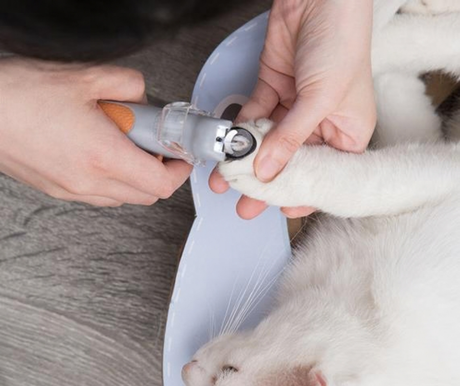 Corta Uñas para Mascotas con Luz Led