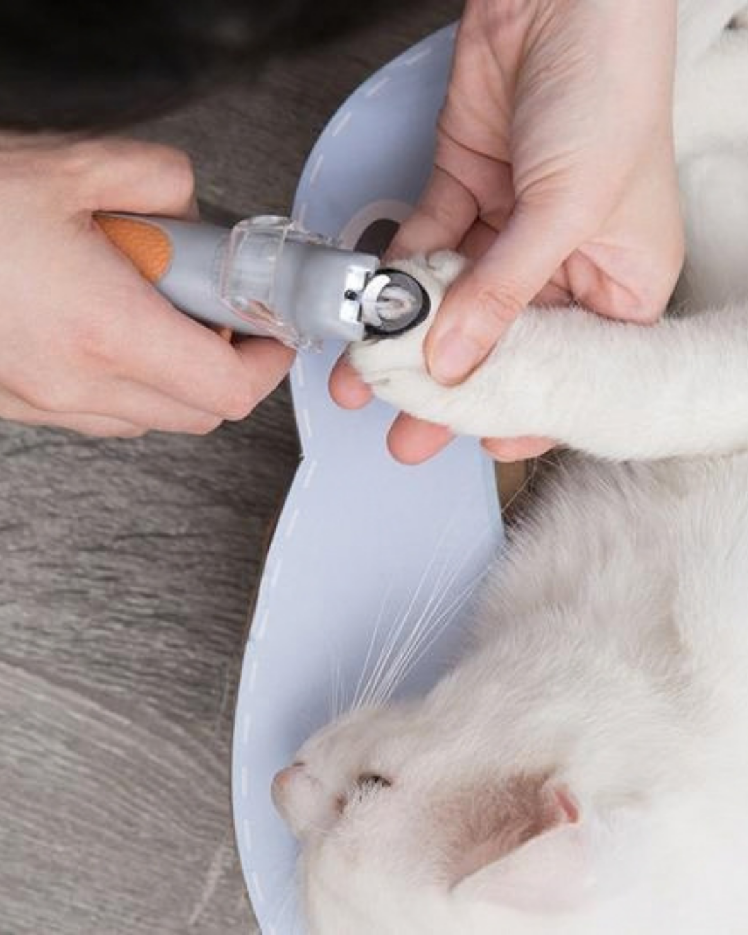 Corta Uñas para Mascotas con Luz Led